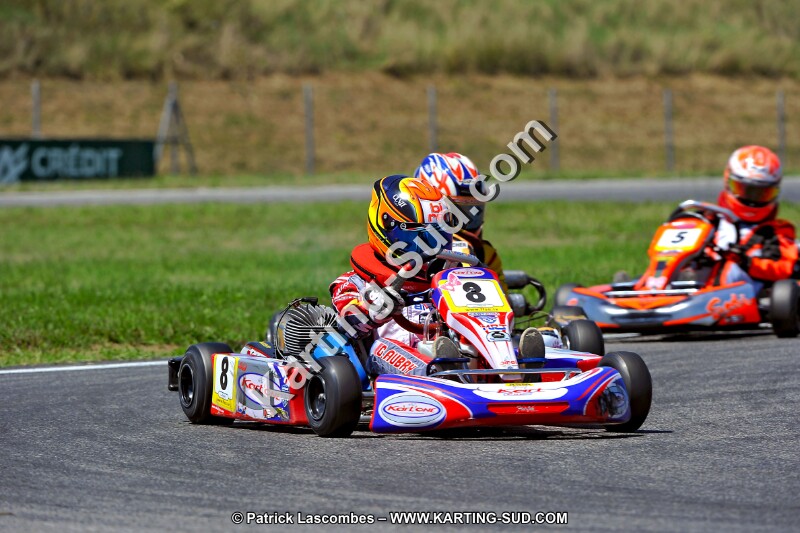 DSC_ (1487).jpg